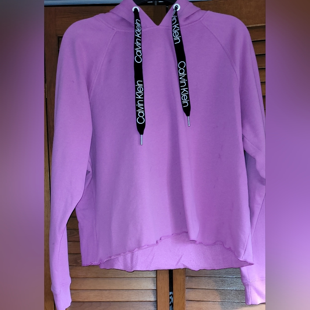 Calvin Klein logo hoodie, dark pink, L